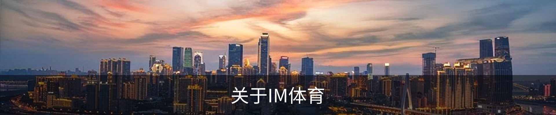 关于IM体育