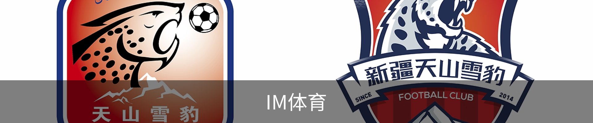 IM体育-IM体育官方网站